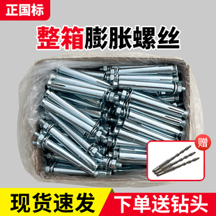 整箱纯正国标镀锌膨胀螺丝大全铁膨胀螺栓拉爆螺丝爆炸M6M8M10M12
