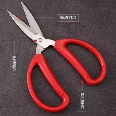 Thickened Bulk Red Scissors, Household Kitchen, Wedding Cele