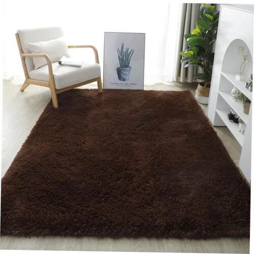 Fluffy Area Rugs for Bedroom Shaggy Floor Mat Carpet 地毯垫