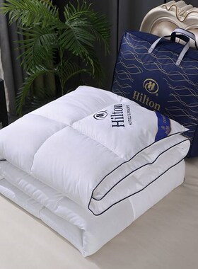 Down All Season Duvet Hotel Quality Warm Quilt Blanket 被子