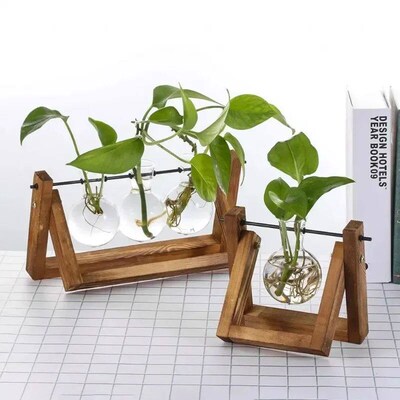 Hydroponic Plant Vases Glass Vase Vintage Bonsai Flower Pot