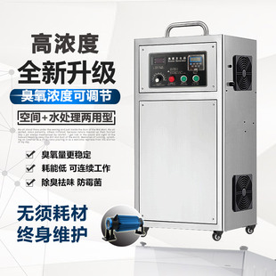 50克60g臭氧水发生器鱼池泳池臭氧机污水处理水产养殖食品车间厂