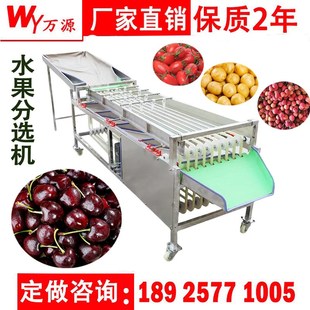 全自动选果机柑橘脐橙水果分选机圣女果车厘子分级机水果筛选机