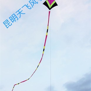天飞高档冲天追抗风王风筝设计独特高1.5*1.8尾25米抗1.5-7级风