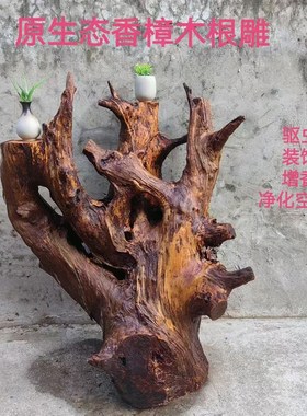 原生态香樟木原木根雕树根风化客厅电视柜造型创意家居装饰摆件