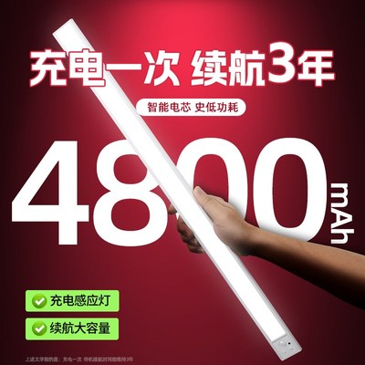 充电感应灯超长续航大容量入户门自动玄关灯带自粘感应无线免插电