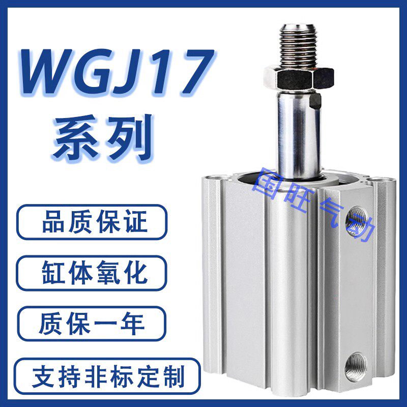 气缸WGJ05/06/16/17-32/40/50/63-10 15 20 25 30 35 45 60-Y/N-2