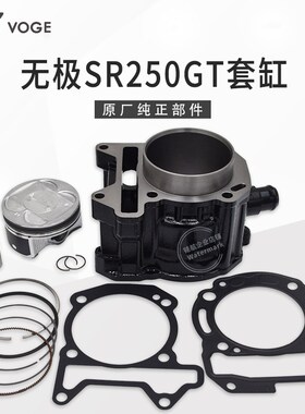 无极SR250GT天鹰TX250飞戈隆鑫LX250T踏板车气缸体活塞环套缸总成
