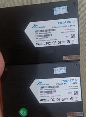 拆机小海豚510 3.84T u.2 价格1290