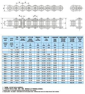 双排东华链条20A 24A 28A 32A-2工业链条机械输送短节距滚子链条