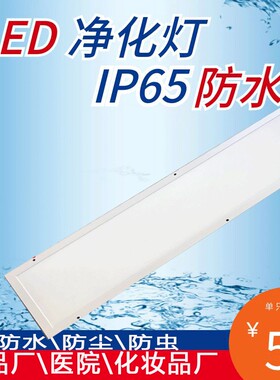 防水净化灯led洁净300x1200超薄平板灯吸顶食品厂手术室无尘车间