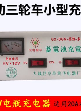 电动三轮车小型电瓶充电机12付儿童车电池充电器6付升级版12V-6V