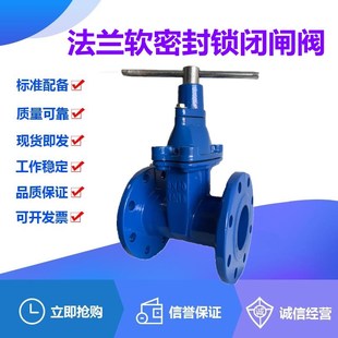 16Q球墨铸铁弹性座软密封锁闭闸阀DN40 200水管防盗阀 FDZ45X