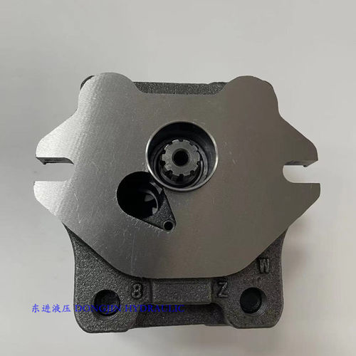 PVC80R/PVC90R齿轮泵 玉柴85 柳工907/908先导泵 gaer pump