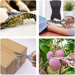 Kitchen Accessories Scissors Stainless Steal Sharp Multi Fun