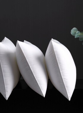 Bed Pillows 2 Pack Hotel Quality Down Alternative Pillow 枕