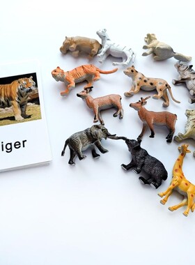 24Pcs/Set Montessori baby Learning English Animals Kids