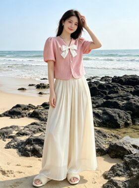 夏海鸥慵懒风阔腿裤套装