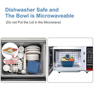 Salad Container Bento Box Tray Leak-Proof Sauce Container