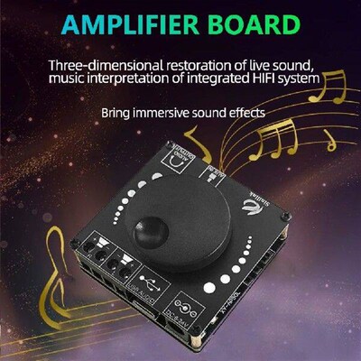 2x50W Dual Channel HIFI Digital Power Amp Board Digital