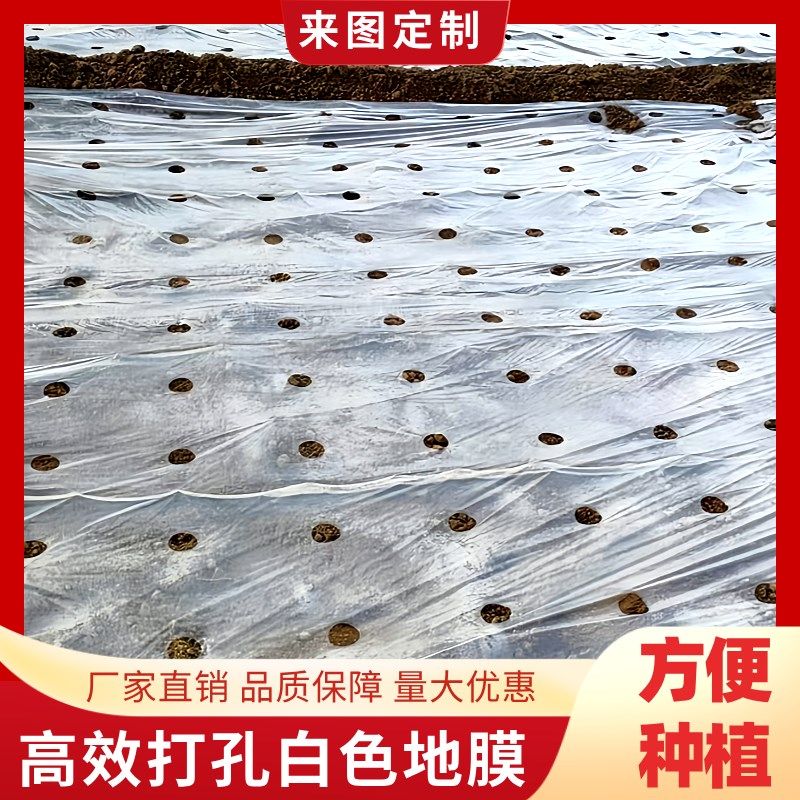 农用白色打孔地膜保湿透光种植蔬菜辣椒茄子保温白色有孔塑料薄膜,农机/农具/农膜,农用薄膜,淘宝优惠券,粉丝福利购,淘宝优惠卷