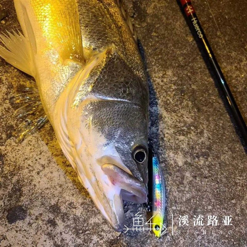 RILGUN Quver 88L/88HS 炮王2代沉水铅笔鲈鱼翘嘴鳡鱼路亚饵,户外/登山/野营/旅行用品,路亚饵,淘宝优惠券,粉丝福利购,淘宝优惠卷