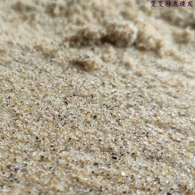 Natural sea sand 6 pounds of sand crab bottom sand seaside c