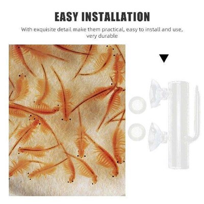 Fish Tank Incubator Isolation Case Container Safe Breeding