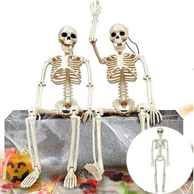 40cm Halloween Human Shape Skeleton,Posable Skeleton,Human S
