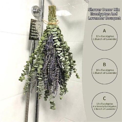 Eucalyptus Leaves No Watering with Pleasant Smell Shower