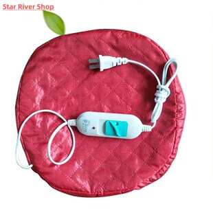 Electric Steamer 220V Plug Treatment Beauty Thermal Hair