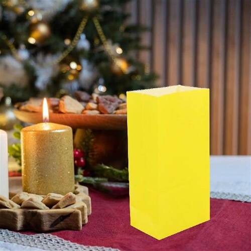 50 Pcs Gift Bag Shop Paper Present Bags Bulk Adult Square