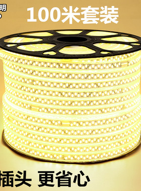 【100米装】LED灯带 超亮5050灯带220v吊顶防水3014/2835高亮led