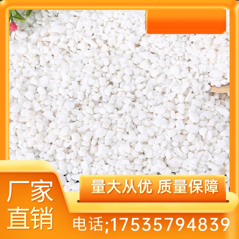 河北白石子天然小白石铺面石鱼缸沙石造景多肉装饰铺面石鹅卵石