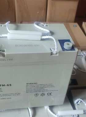xilin西林堆高机搬运车电池12V65Ah