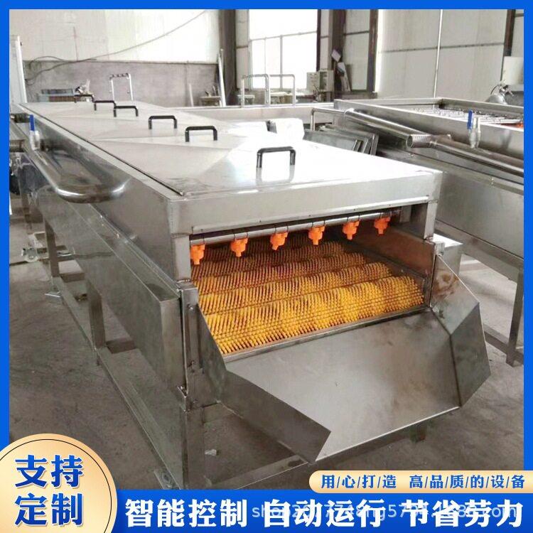 平行毛辊清洗机器芒果清洗设备水果清洗线变频调速佳圣特