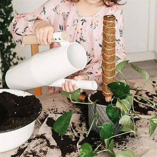 Plant Vine Traction Climbing t Natural Coconut Palm Rod