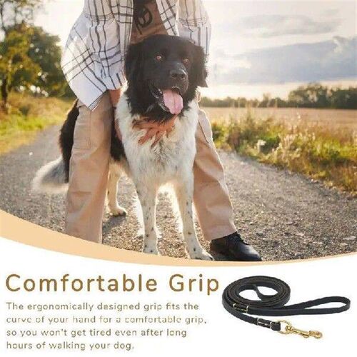 Dog Traction Rope Dog Training Behavior Aids Dog Safety