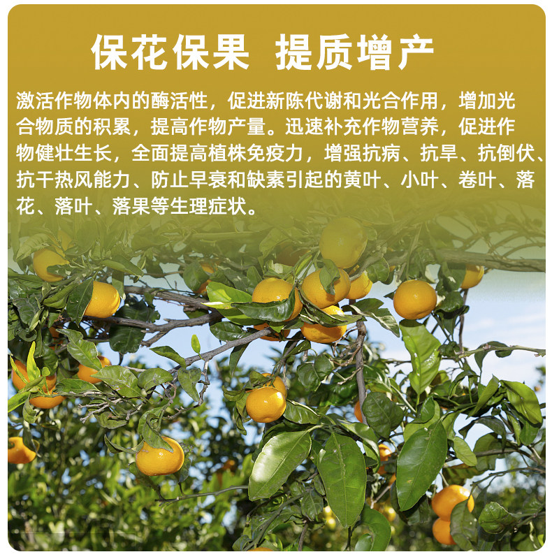 钙镁硼锌铁中微量元素叶面肥果树蔬菜专用快速生根抗重茬水溶肥,农用物资,叶面肥,淘宝优惠券,粉丝福利购,淘宝优惠卷