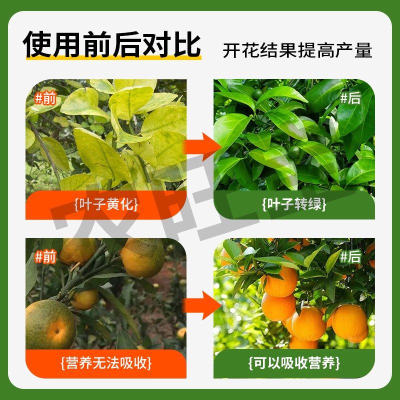 黄龙病专用药ROS柑橘脐橙柚子黄化病裂果掉果青头红鼻子果打吊瓶,农用物资,农技服务,淘宝优惠券,粉丝福利购,淘宝优惠卷