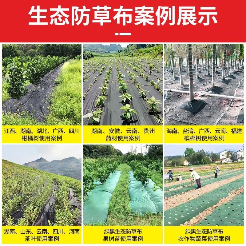 防草布绿黑色新型农用地膜盖草布遮草布透除草保湿果园果树气布,农机/农具/农膜,农用防草地布/除草布,淘宝优惠券,粉丝福利购,淘宝优惠卷