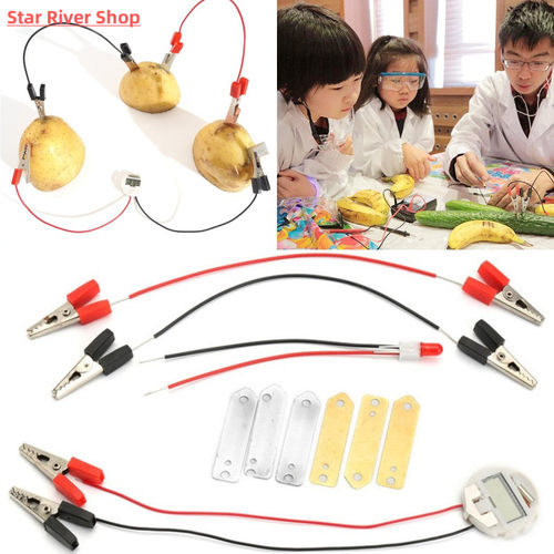 Biologia Energy Generate Electricity Science Experiment Educ
