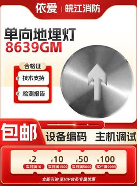 依爱单向地埋灯8639GM 36V 集中电源集中控制型应急标志灯具正品