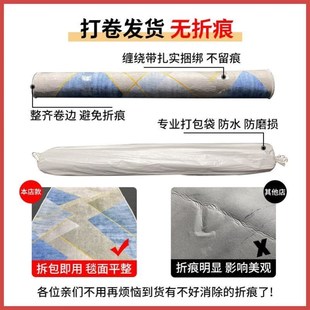 carpets rug home carpet living room mat floor rugs bedroom