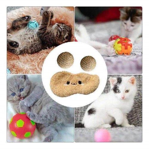 Cat Ball Interactive Toy Pet Squeaky Chewing Ball