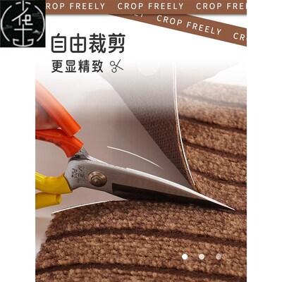 Floor Mat Entrance Doormat Floor Rug Anti-slip Door Mat