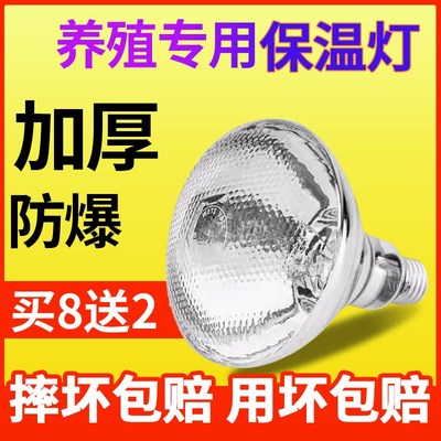 保温灯养殖场专用小鸡育雏烤灯取暖猪场灯泡加热兽用冬季保暖猪舍