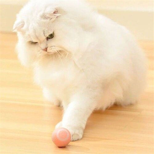 Intelligent Cat Teaser Toy Interactive Toys for Indoor Cats
