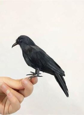 Simulation crow ornaments feather exhibitZion winged bird H