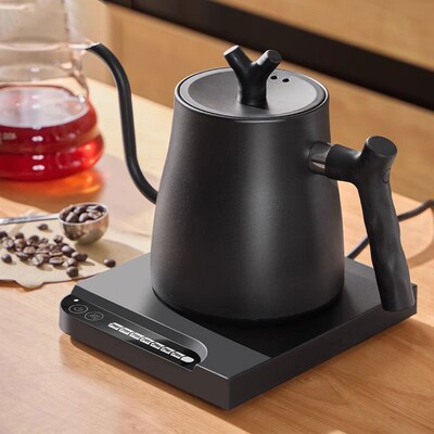Electric Kettle, Gooseneck Temperature Control Quick Heating
